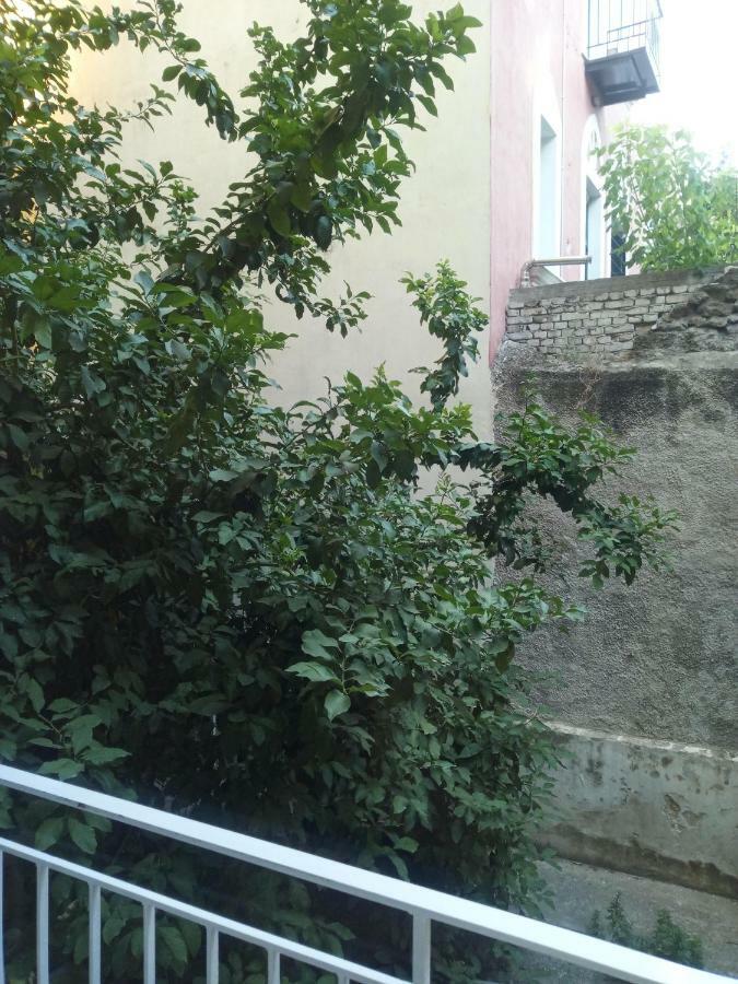 New Apartment With A Separate Entrance Near The Subway. Atény Exteriér fotografie